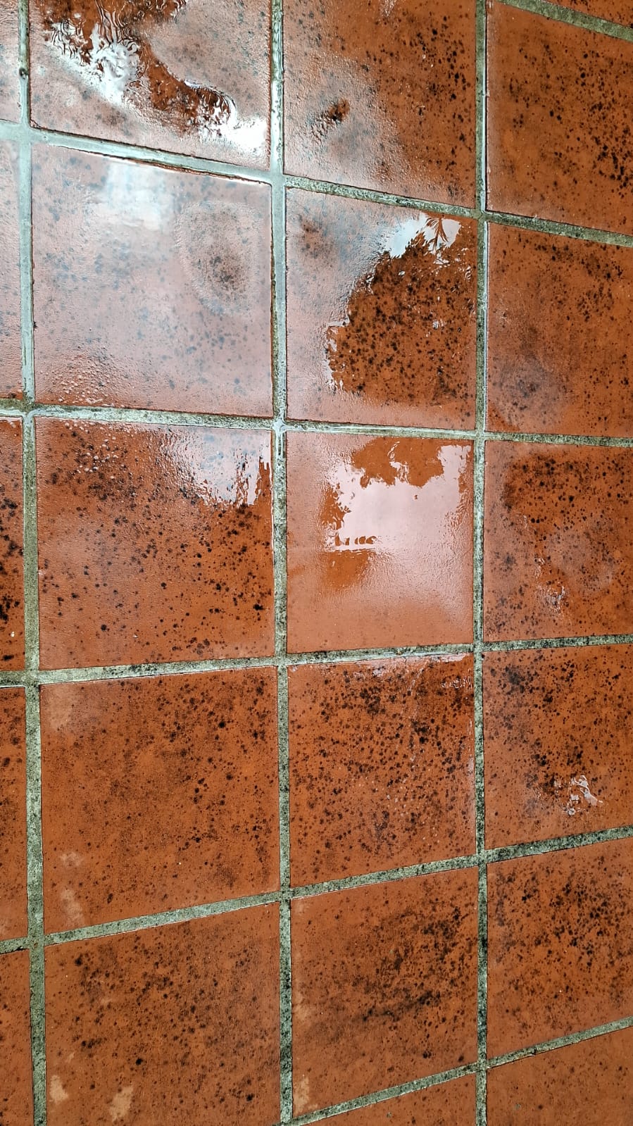 花園與園景清潔整理